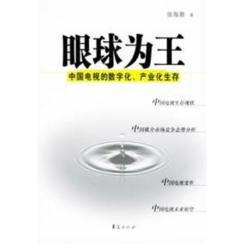 正版眼球为王:中国电视的数字化.产业化生存