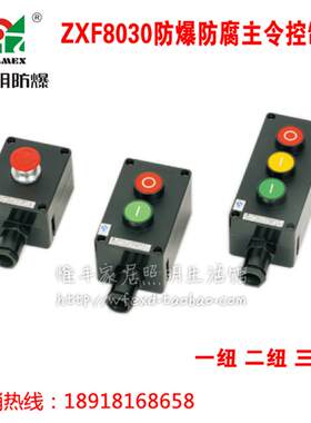 新款新黎明防爆防腐主令控制器按纽一二三纽ZXF8030-1 220V 3包邮