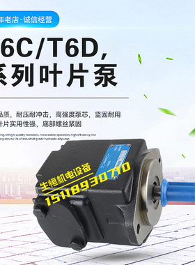 新款丹尼逊T6D-017/020/024/042/028/045/50-1R00/01/02/03-B包邮