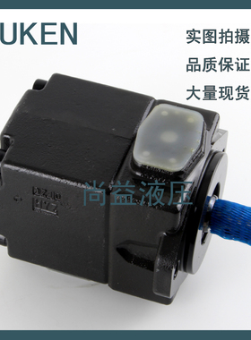 新款YUKENPV2R1-6/8/10/12/14/17/19/23/25/28/31-F-RAA-41/4包邮