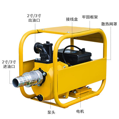 新款BREMEN电动抽油泵12V24V220伏自吸大功率导油泵2寸3寸导包邮