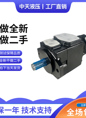 新款定量液压泵PV2R12-6/10/12/17/19/31-65-F-REAA-40高压双包邮
