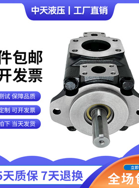 新款中天液压T6DC-028/031/035/038-012/014/017-1R00-A1 叶包邮
