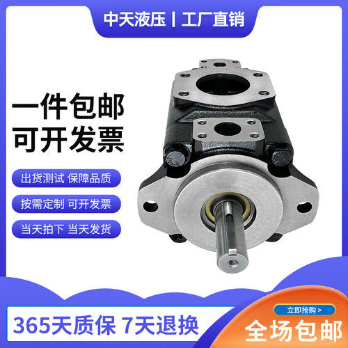 新款中天液压T6DC-028/03
