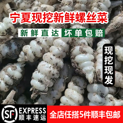 宁夏新鲜螺丝菜现挖宝塔菜地环