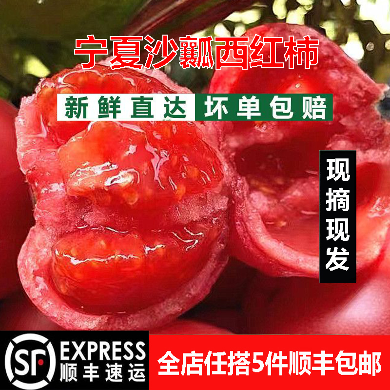 宁夏沙瓤西红柿自然熟老品种生吃当季农家自种蔬菜番茄非普罗旺斯