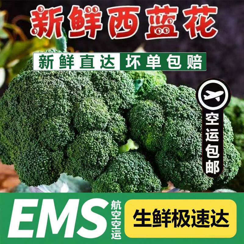 【EMS航空】新鲜西兰花现砍西蓝花农家蔬菜花椰菜现摘西餐食材