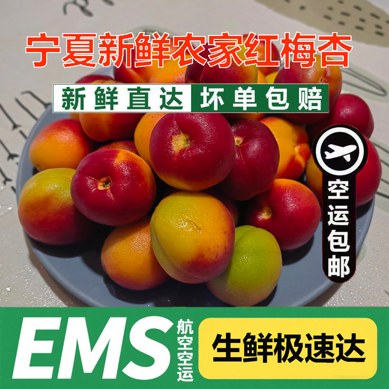 航空包邮宁夏红梅杏新鲜杏子当季红杏现摘现发孕妇水果产地直供