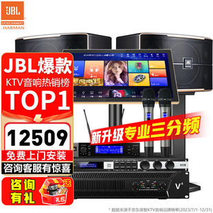 Pasion12家庭KTV音响套装 全新三分频 JBL 家庭影院ktv唱JBL