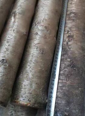 桃木桃木树枝桃木墩野生东南小李肥刀剑桃木雕刻木料原木桃木木料