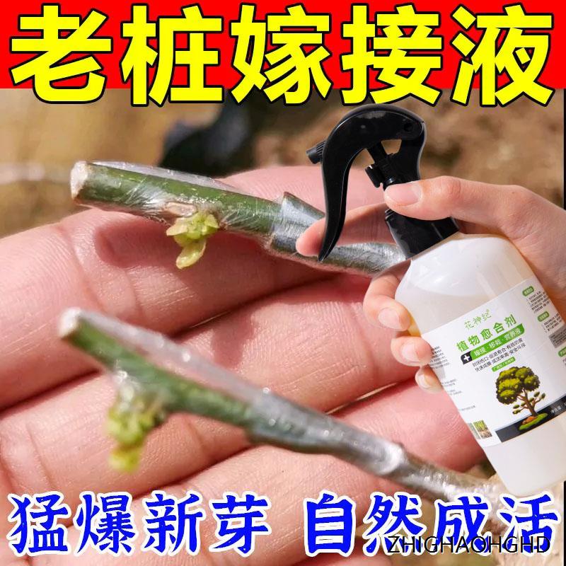 嫁接专用液植物盆景花卉