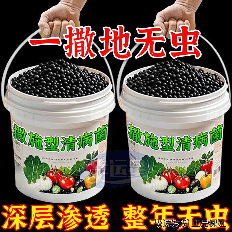 清菌颗粒撒施型防病害瓜