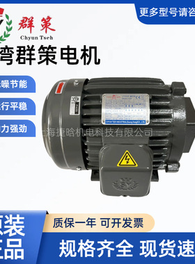 S.Y群策液压电机 C02-43B0 2HP-4 TK3 1.5KW 卧式内轴孔 油泵电机