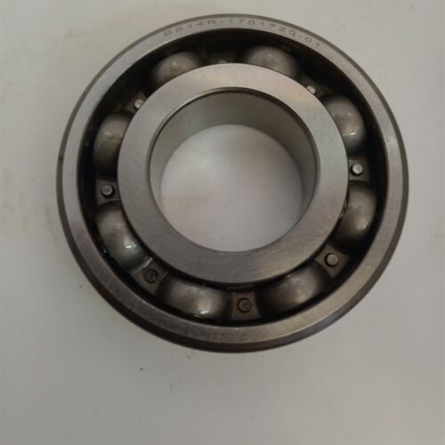 BS14R-1701720o-01 62/30/P63 TM6606YA-RS变速箱轴承