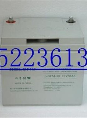科华12V38AH KELONG 6-GFM-38蓄电池 直流屏 消Z防主机电瓶