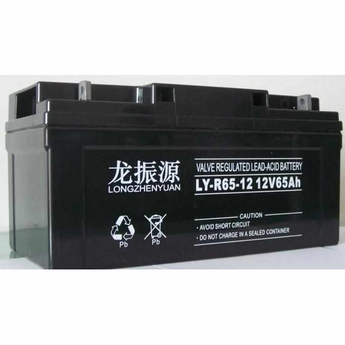 龙振源蓄电池LYj-R12V6H 储能工匠电池 UPS直流屏计算机机房电源
