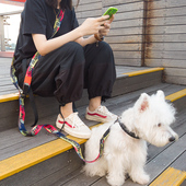 狗狗牵引绳遛狗神器溜狗解放双手绳子F绳狗绳牵狗绳狗宠物大狗金