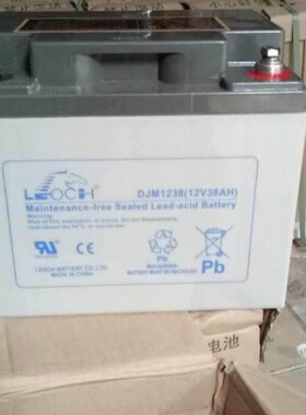 12V38AH理士 DJM1238 免维护蓄电池UPSEPS.直流屏专用