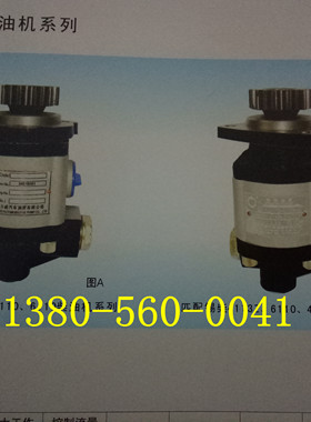 倾卸车 转向助力泵 QqC16/13-D10WX 合肥力威汽车油泵