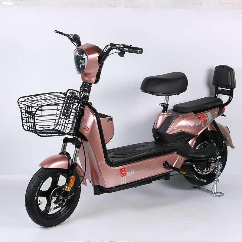 新国标电动车成i人电瓶车男女式助力踏板代步车双人电动自行车