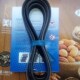 优质昊冠汽车多沟皮带8PK1760 8PK1815 8PK1S803 8PK1780 8PK1786