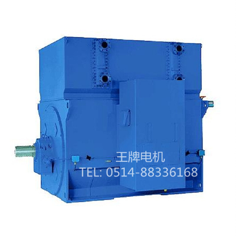 厂家直销高压电机YRKS8006-6 2800KW 10000V   1000rpm