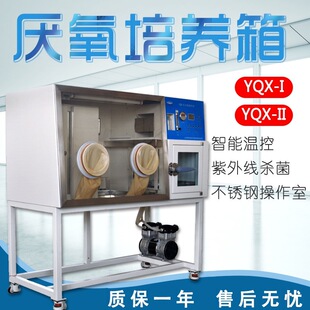 上海龙跃 YQX-I YQX-II YQX-T 厌氧培养箱