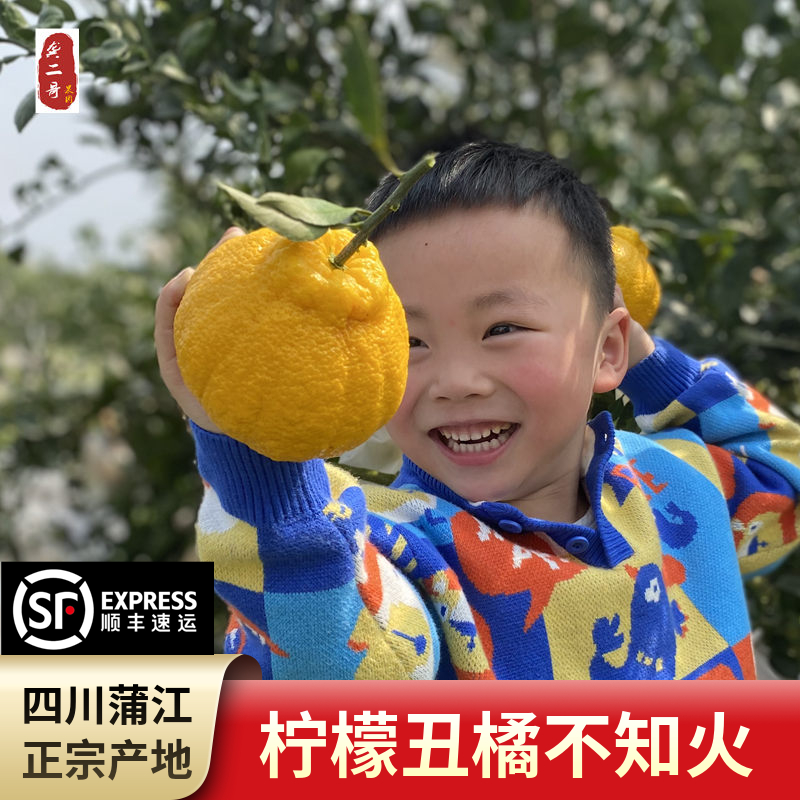 顺丰四川柠檬不知火丑橘丑柑不之火新鲜大果丑桔子甜蒲江果园现摘