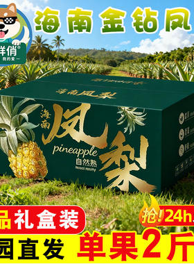 正宗海南金钻凤梨高端一