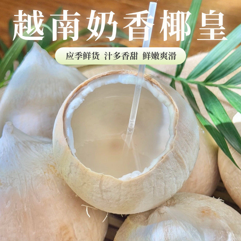 越南椰子牛奶椰皇新鲜当季水果老椰子汁肉椰奶 中果400-500g