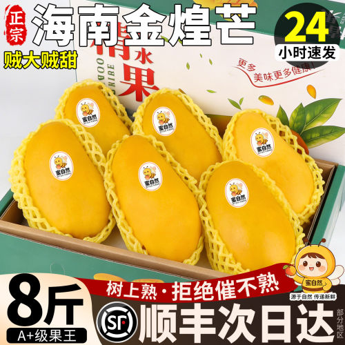 顺丰礼盒正宗海南金煌芒