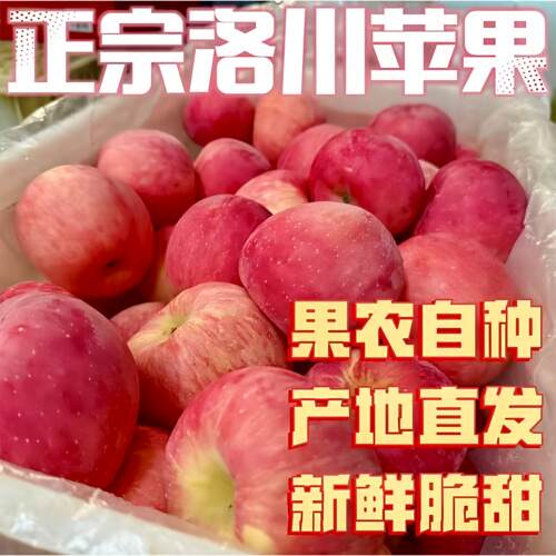 【精品】正宗洛川苹果富