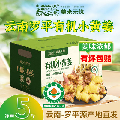 姜来无忧正宗云南罗平有