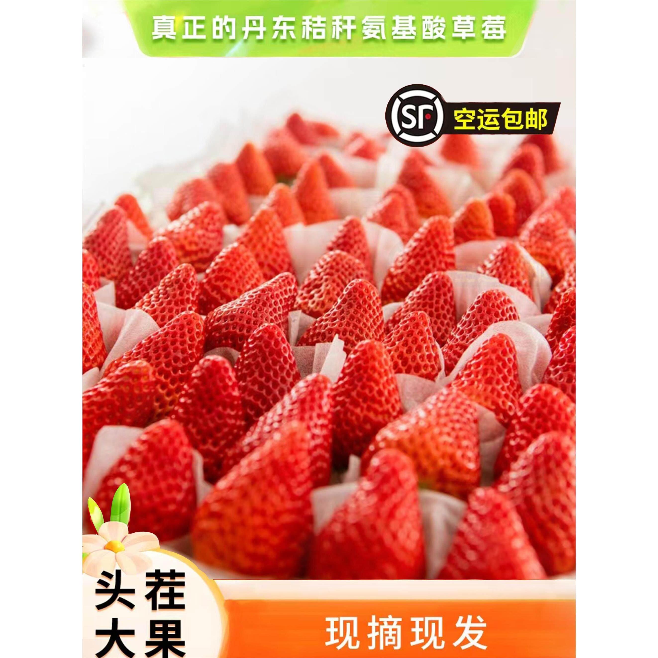 丹东99草莓新鲜现摘东港九九秸秆红颜奶油牛奶超大甜当季水果顺丰