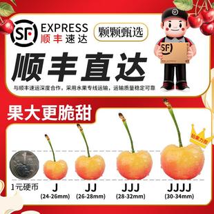 顺丰礼盒3斤大连佳红黄樱桃5J当季黄金车厘子新鲜水果大整箱包邮