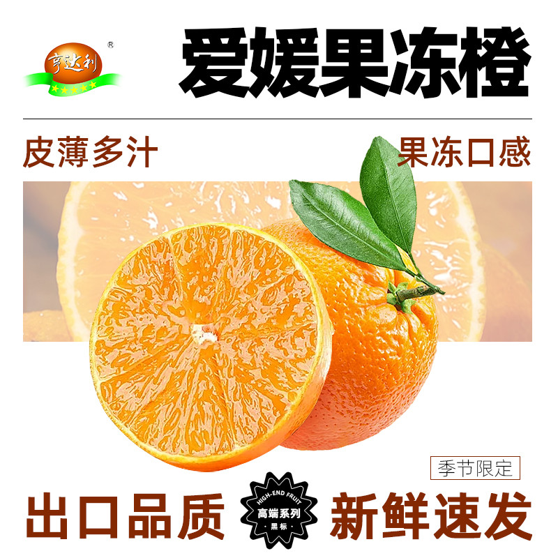 【新鲜直播】四川爱媛38号红美人果冻橙新鲜橙子柑橘果园现摘发