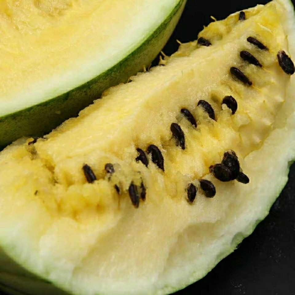 甘肃省会宁景泰靖远大变小籽瓜砂田西瓜特产农产品打瓜新鲜兰州