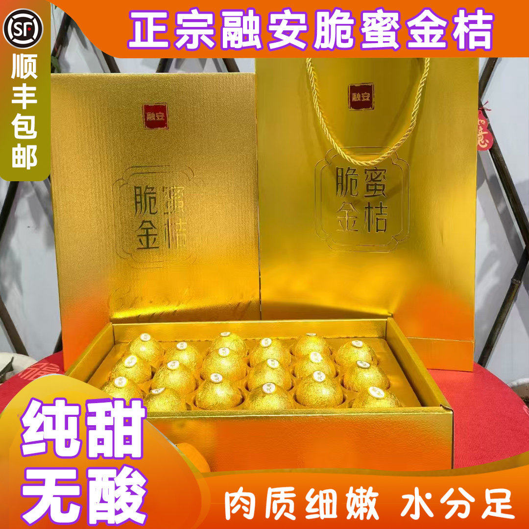 广西融安脆蜜金桔第三代金柑手提礼盒新鲜鲜果巧克力包装2斤装