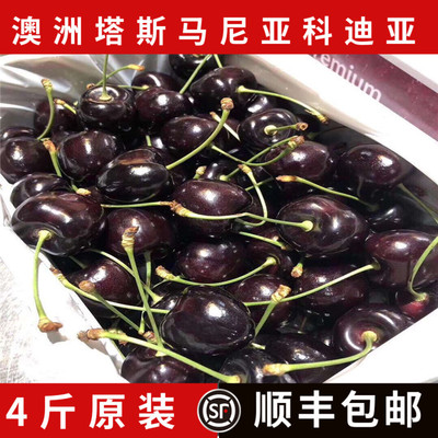 现货塔斯马尼亚kordia澳洲进口车厘子新鲜科迪亚大樱桃4斤礼盒装