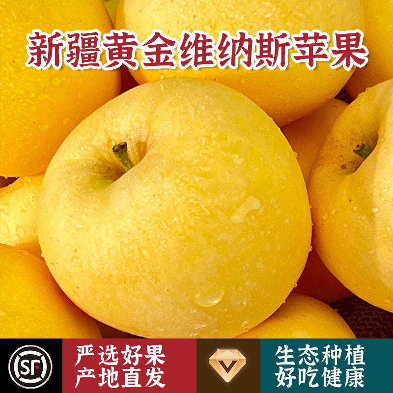 新疆阿克苏黄金维纳斯苹果水果新鲜当季整箱特产冰糖心正品
