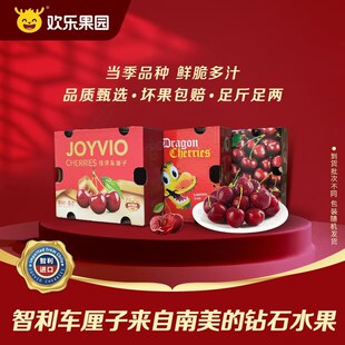 【原箱不降级】智利车厘子5斤装 2J-4J级新鲜大樱桃当季水果