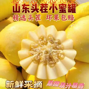 顺丰包邮26年山东胡集直发小蜜蜂甜瓜头茬香瓜脆白梨瓜当季水果
