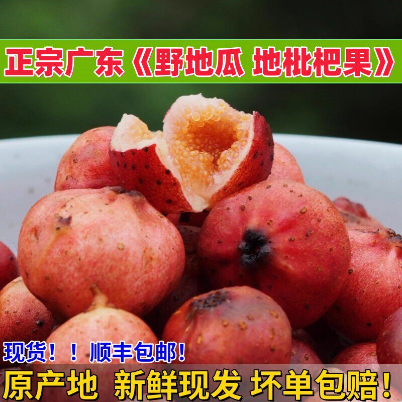 广东野地瓜新鲜现挖地枇杷当季美味地石榴水果自然成熟果肉超甜
