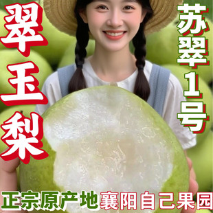 湖北翠冠梨新鲜翠玉梨冰糖苏翠一号梨子酥脆青皮梨子当季现摘水果