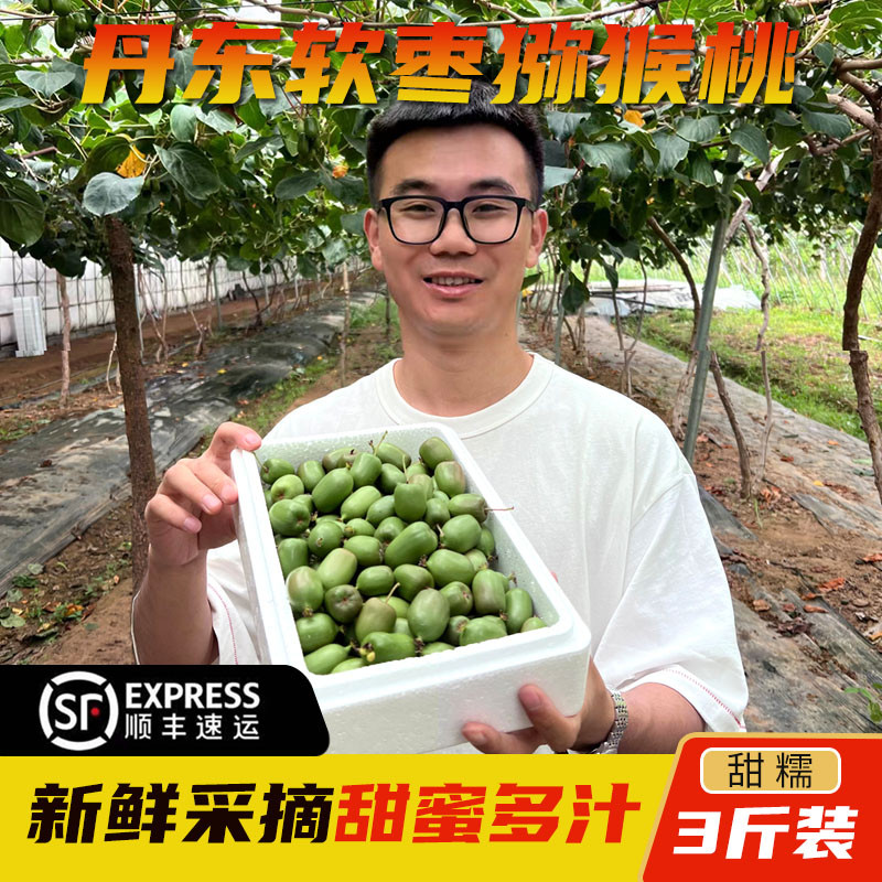 现摘丹东软枣猕猴桃野生枣子迷你小猕猴桃奇异果礼盒装当季水果