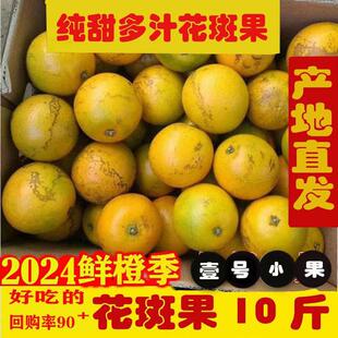 花斑橙子玉溪冰糖橙子纯甜老树新鲜正宗花斑果高原甜橙优级