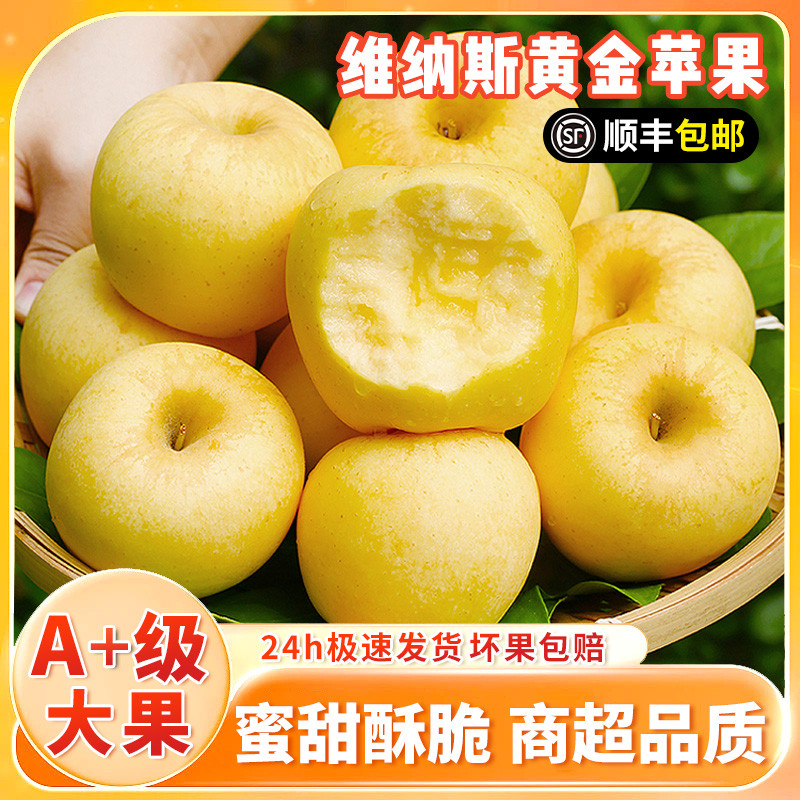 正宗维纳斯黄金苹果当季新鲜现摘脆浓香奶油富士黄元帅水果礼盒装