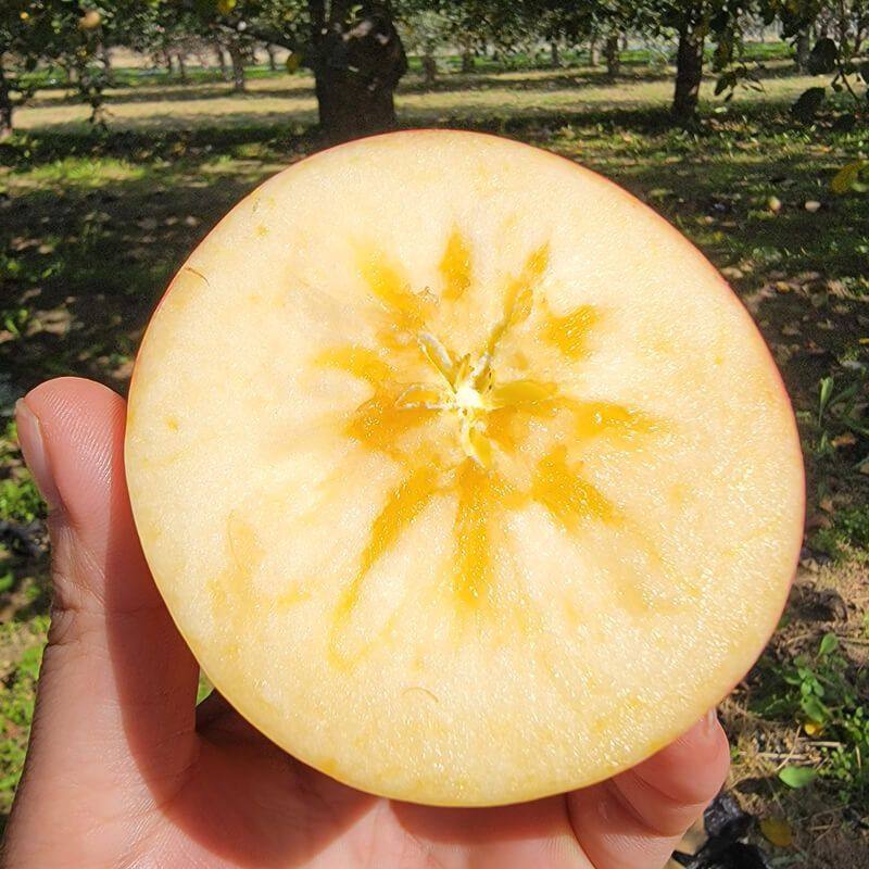 抱朴园冰糖心红富士苹果应季时令新鲜水果产地直发脆甜多汁,玩具/童车/益智/积木/模型,沙包,淘宝优惠券,粉丝福利购,淘宝优惠卷