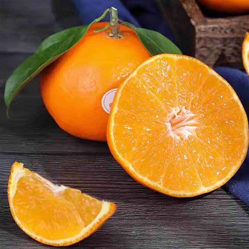 品质好果浙江象山红美人柑橘子爱媛28号果冻橙新鲜水果礼盒装特产