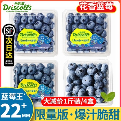 【顺丰航空】怡颗莓蓝莓 当季限量版超大云南花香蓝莓鲜果水果L25